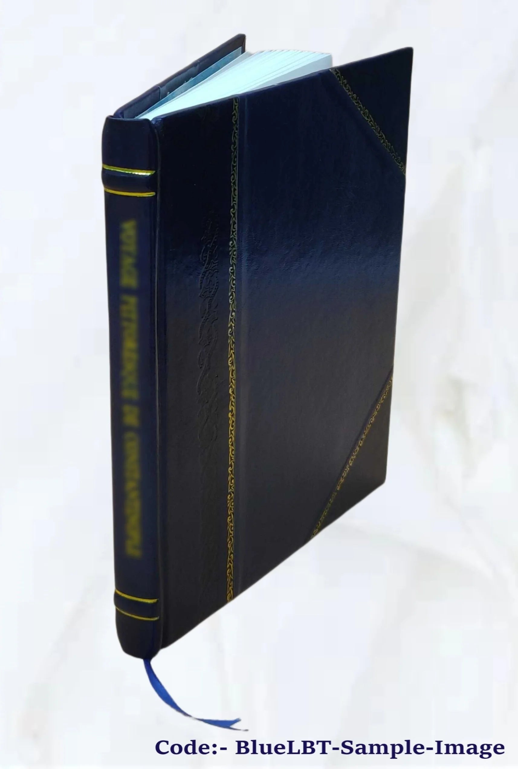 Sir Walter Scott and the border minstrelsy 1910 Leather Bound Q267