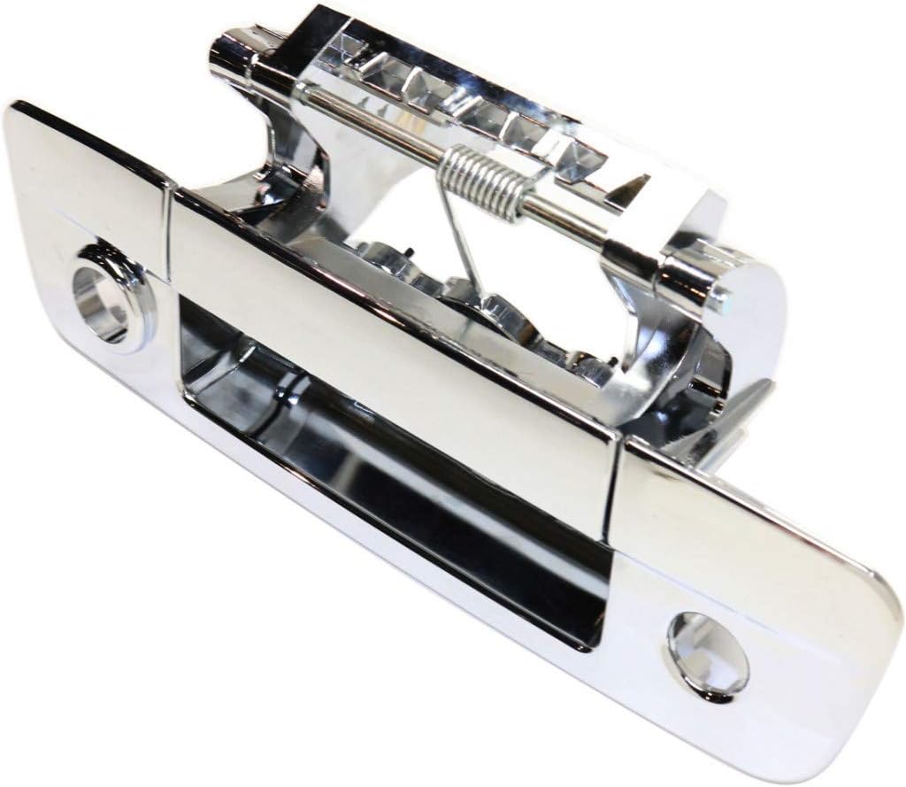 Chrome Plastic Tailgate Handle with Camera Hole Pack of 2 D6491