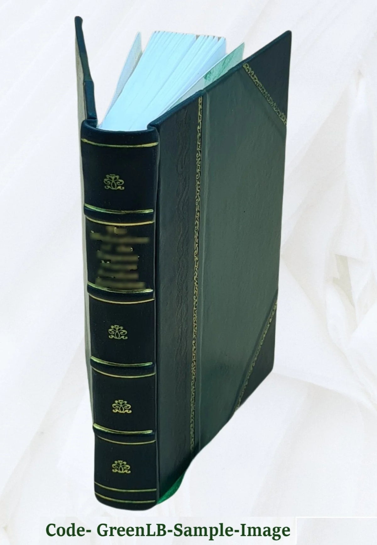 Leather Bound H320372