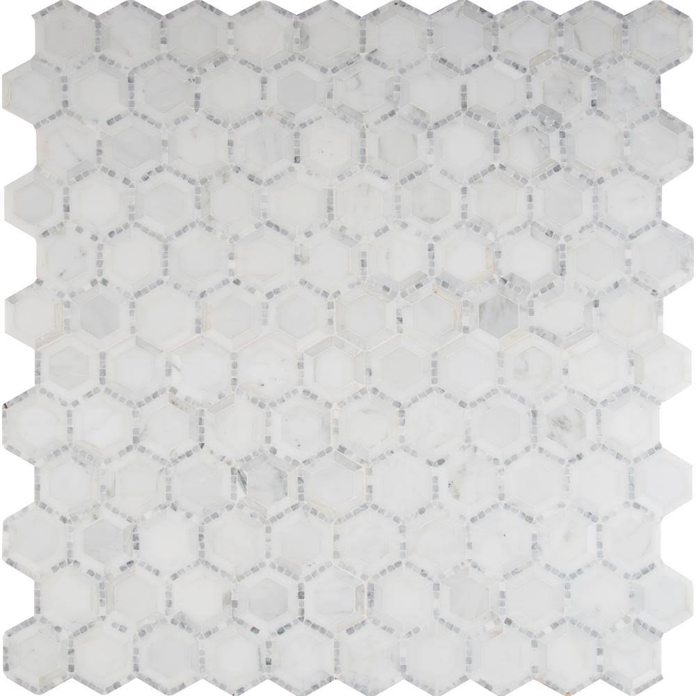 12 in. x 12 in. x 10 mm Honed Marble Mosaic Tile W198