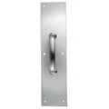 Satin Stainless Steel Pull Plate and Handle N86309