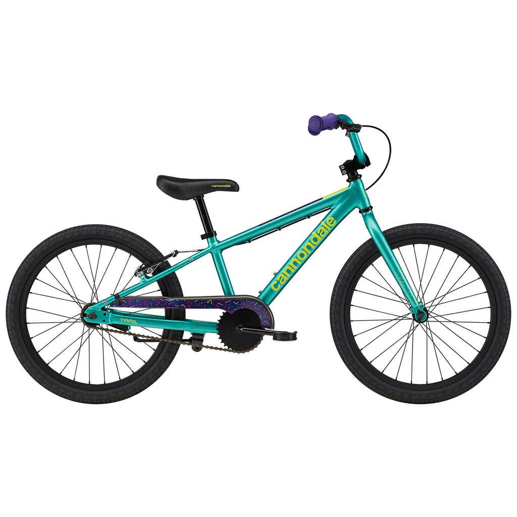 Turquoise 20 inch Kids Trail Bike H5192