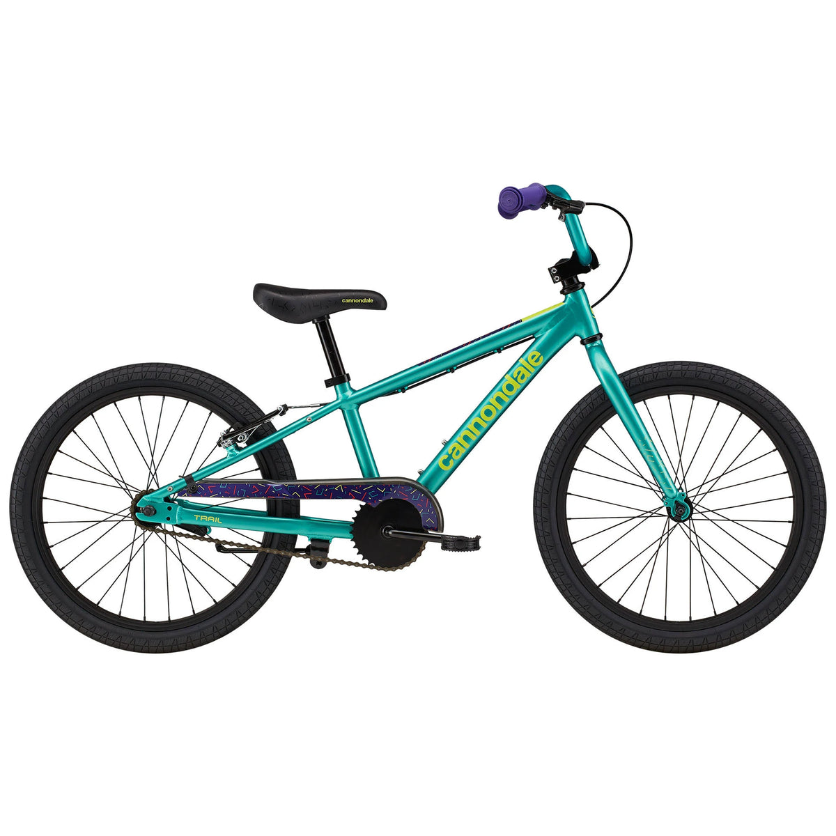 Turquoise 20 inch Kids Trail Bike H5192