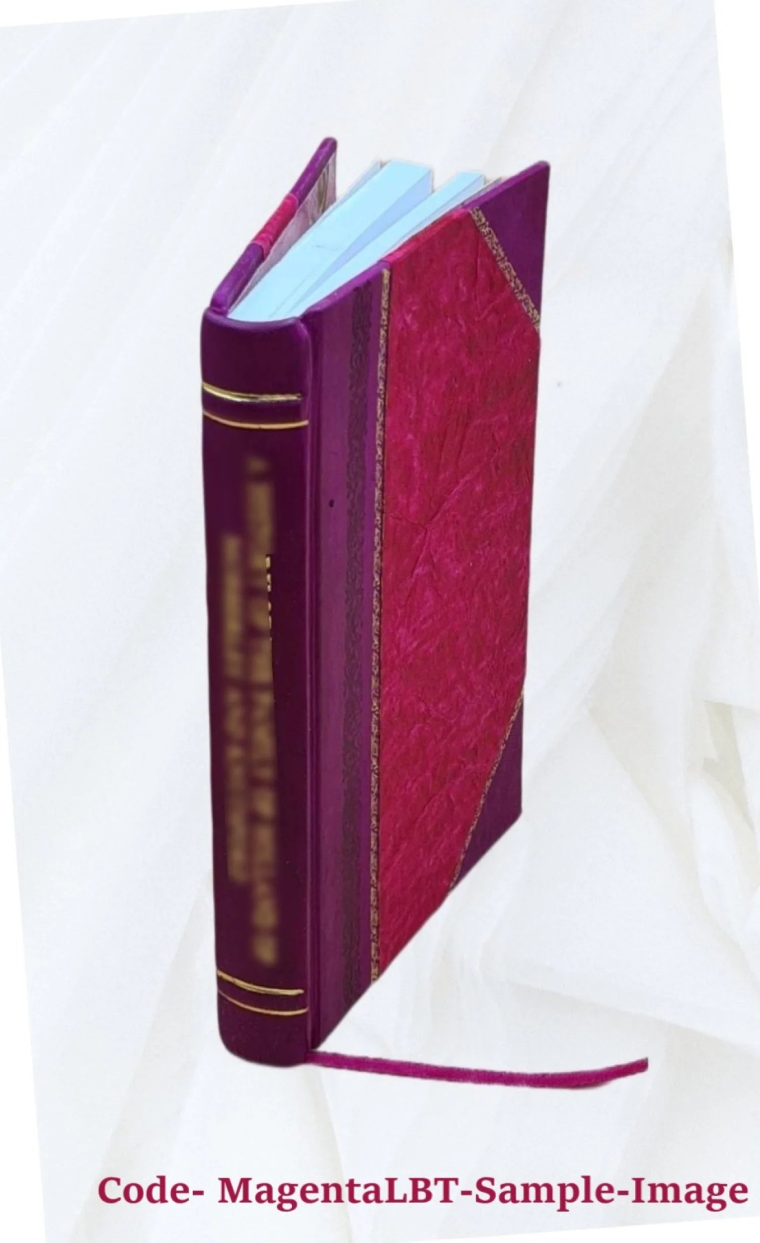 Sir Walter Scott and the border minstrelsy 1910 Leather Bound Q267