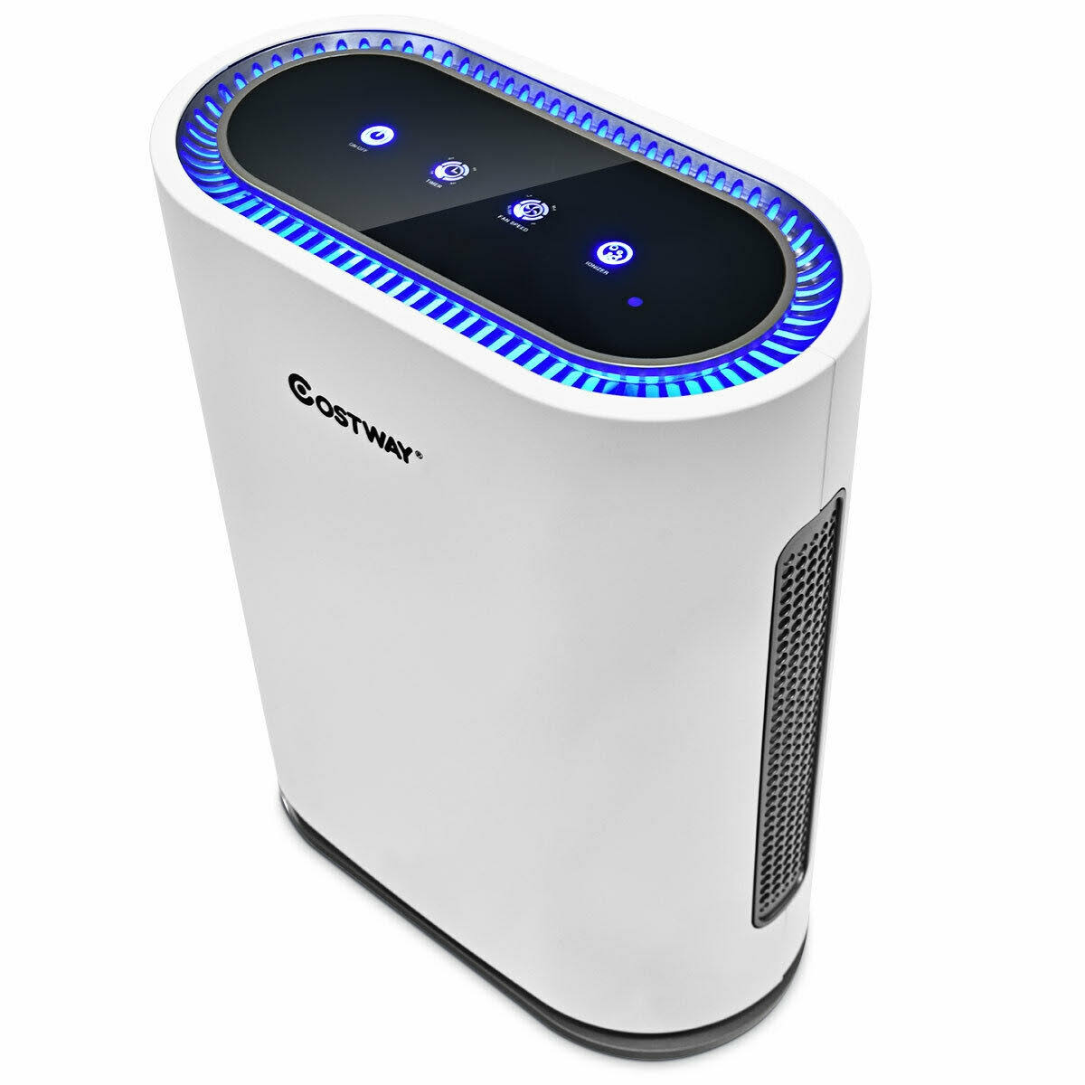 4-in-1 Ionic Air Purifier with HEPA Filter T1796