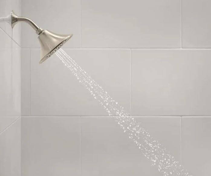 Bath Shower Set Vibrant Brushed Nickel N69018