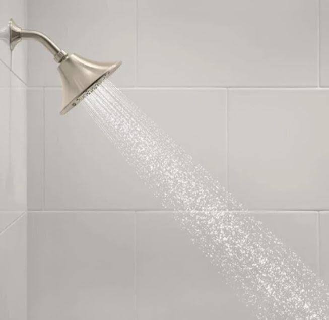 Bath Shower Set Vibrant Brushed Nickel N69018