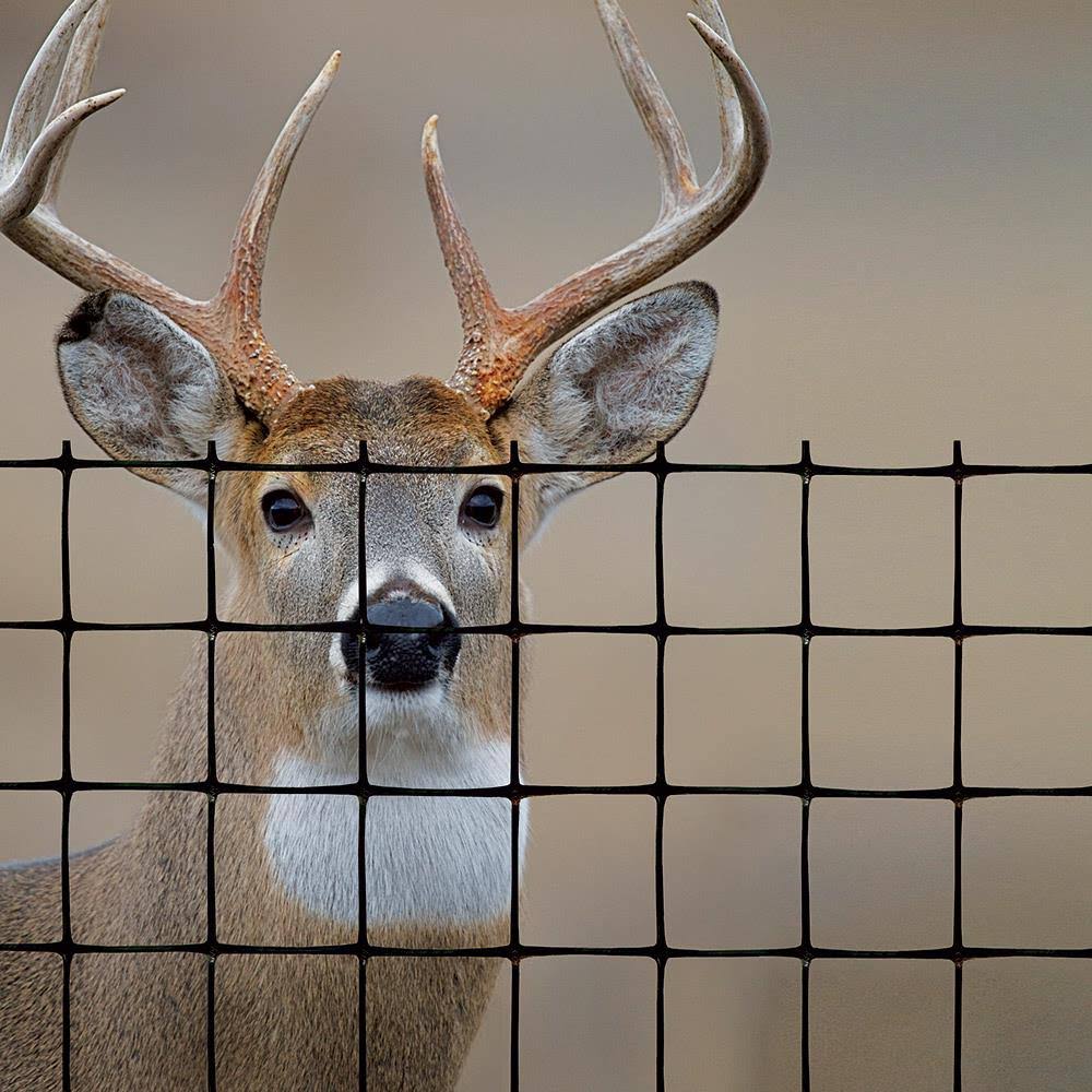 Black Deer Fence 7.5ft. x 164 ft. D374222