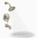 Bath Shower Set Vibrant Brushed Nickel N69018