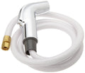 Chrome Spray and Hose Assembly B452865