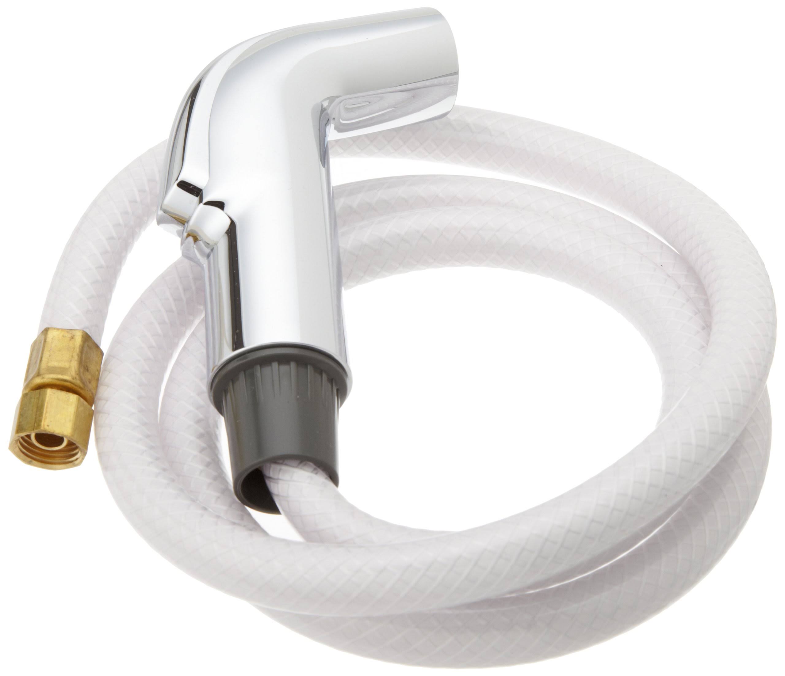 Chrome Spray and Hose Assembly B452865