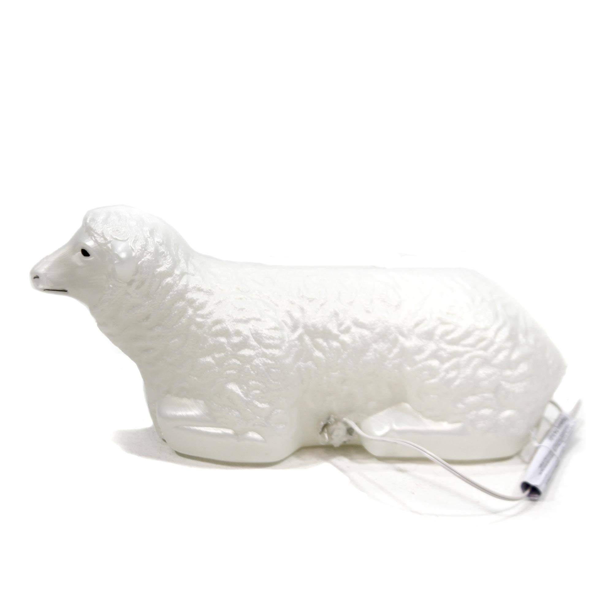 Nativity Scene Sheep E5677