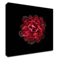 Red Print on Canvas O9066