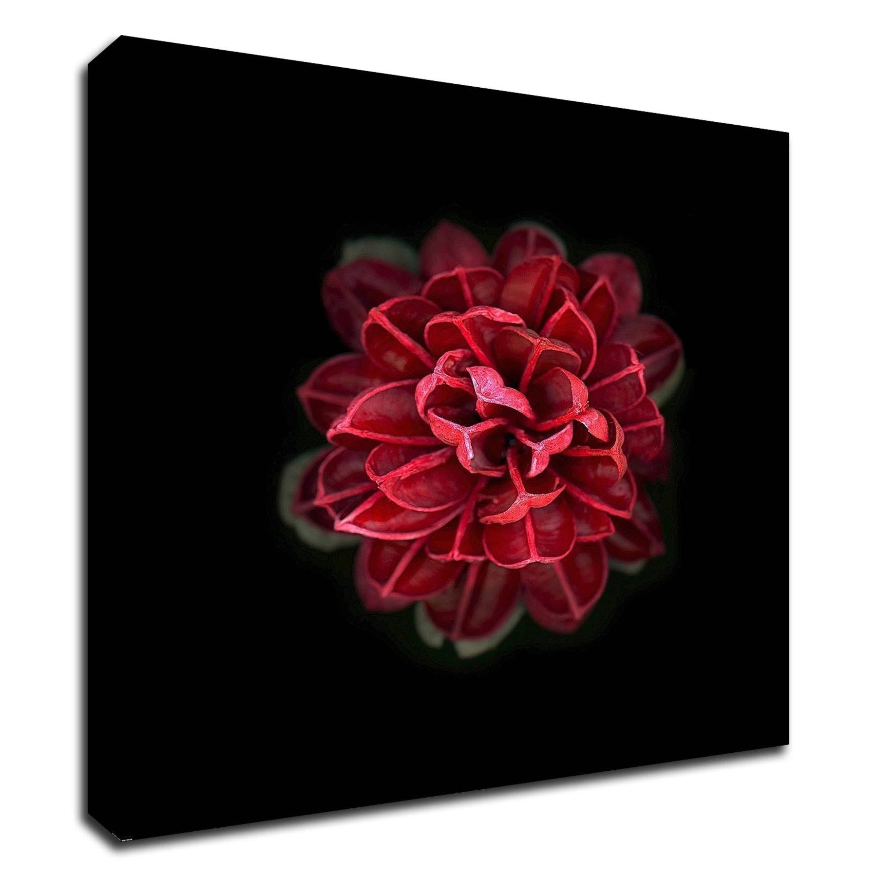 Red Print on Canvas O9066