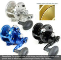 Gold 2-Speed Lever Drag Casting Reels C741379