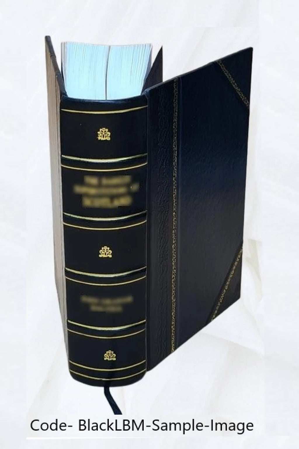 Popular tales from the Norse, Leather Bound E944