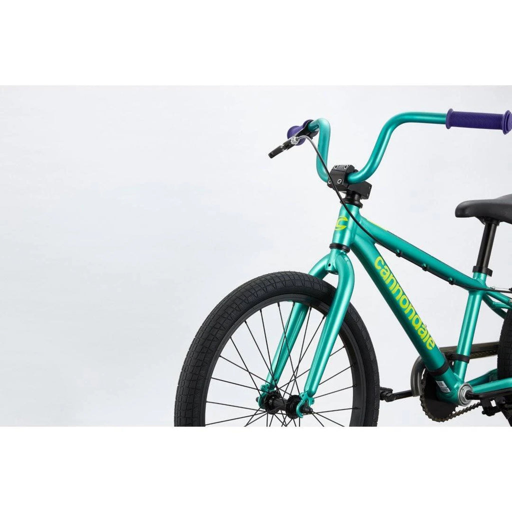 Turquoise 20 inch Kids Trail Bike H5192