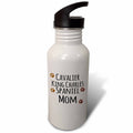 21 oz Sports Water Bottle D4257