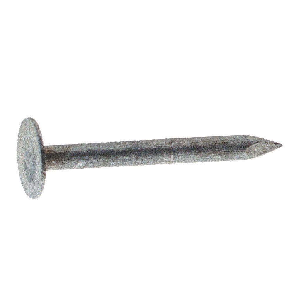 Galvanized Roofing Nail F102025