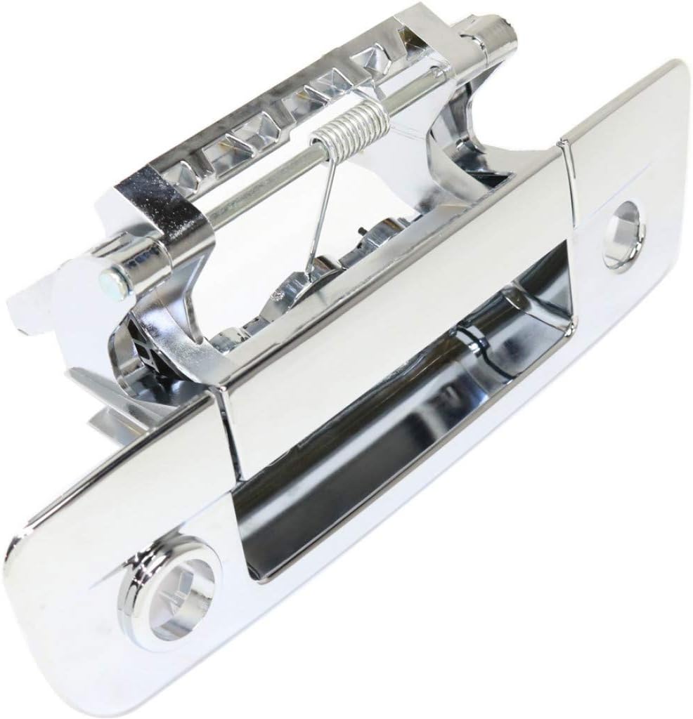 Chrome Plastic Tailgate Handle with Camera Hole Pack of 2 D6491