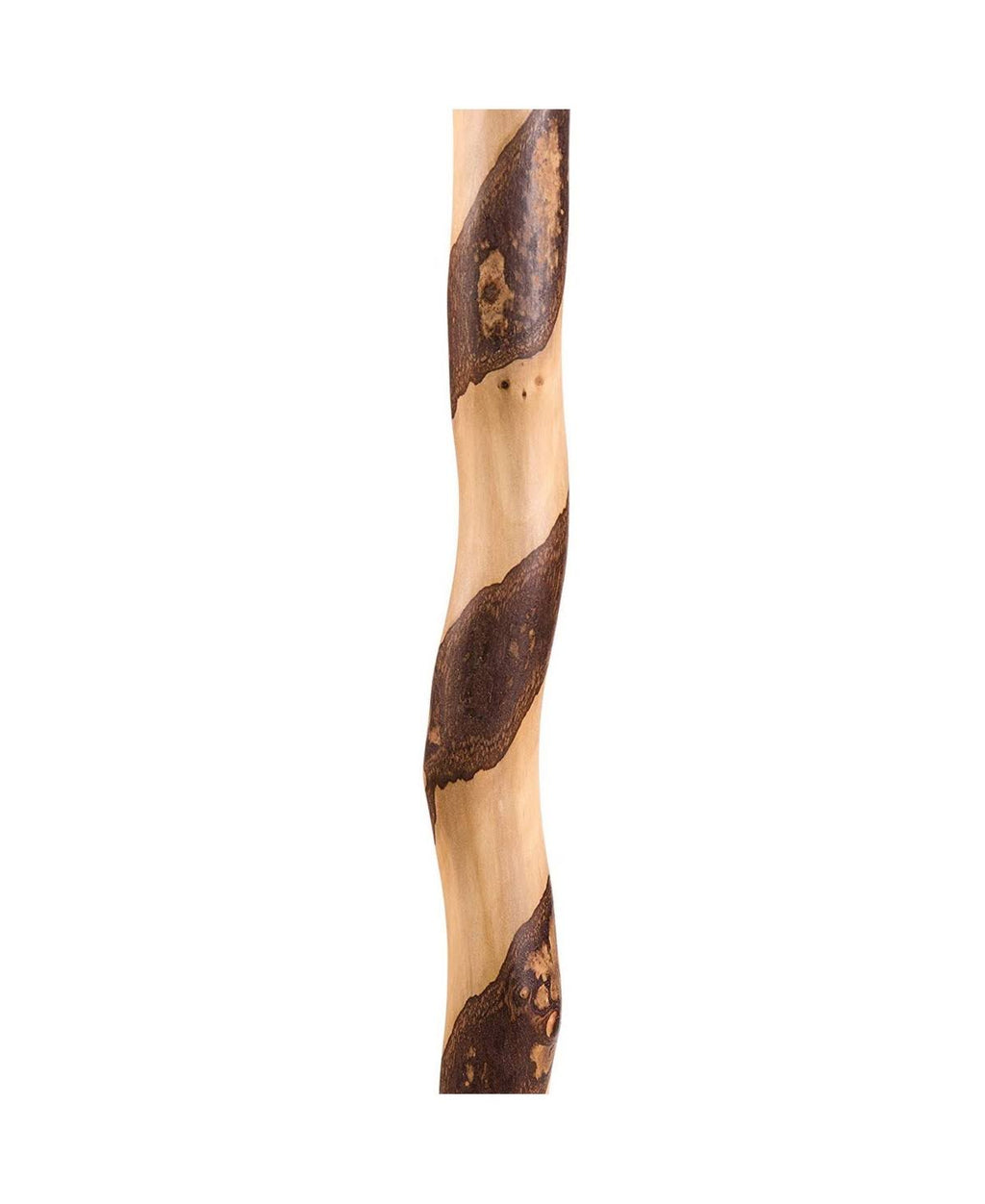 40x22 Twisted Sweet Gum Walking Cane G471