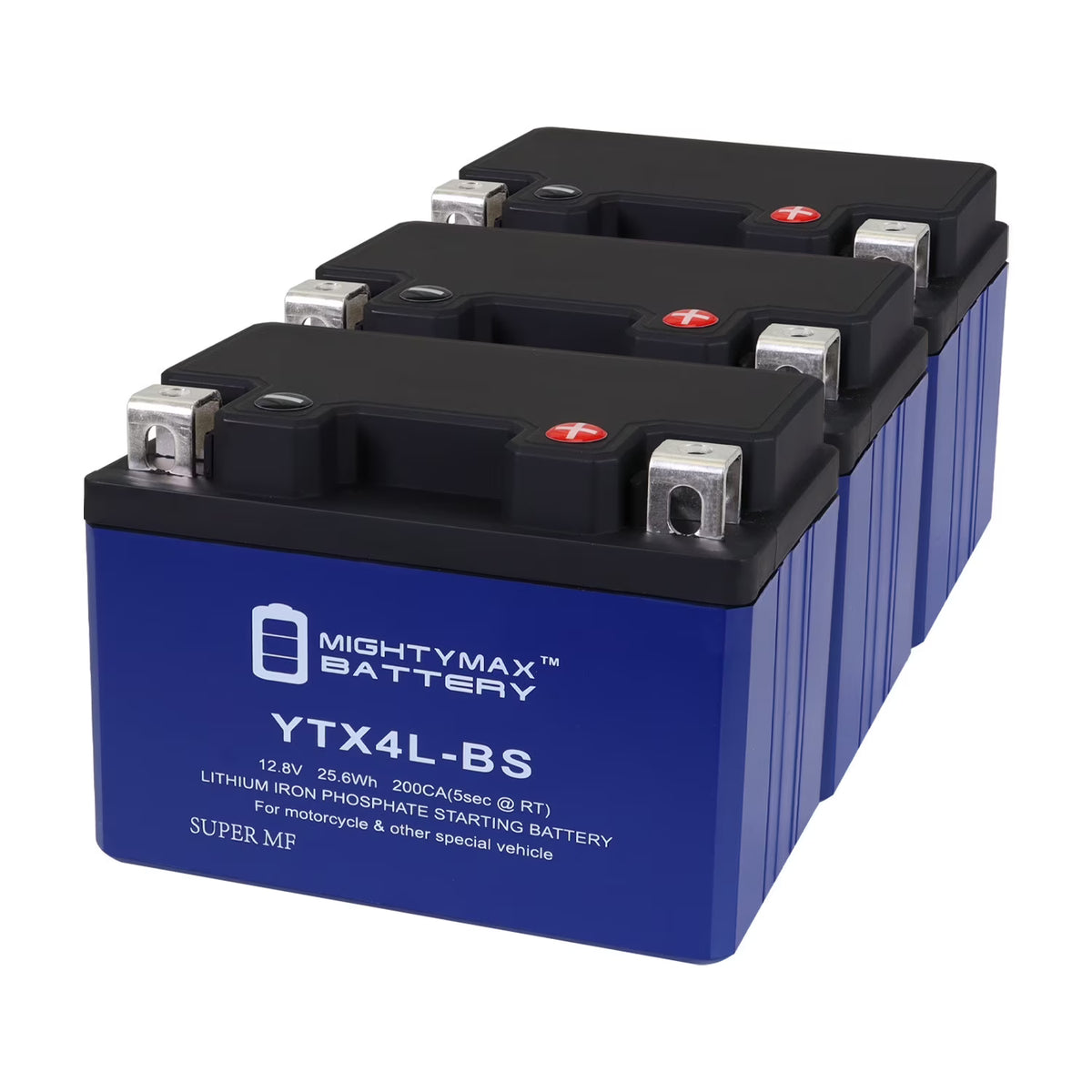 3 Pack Lithium Replacement Battery R168916