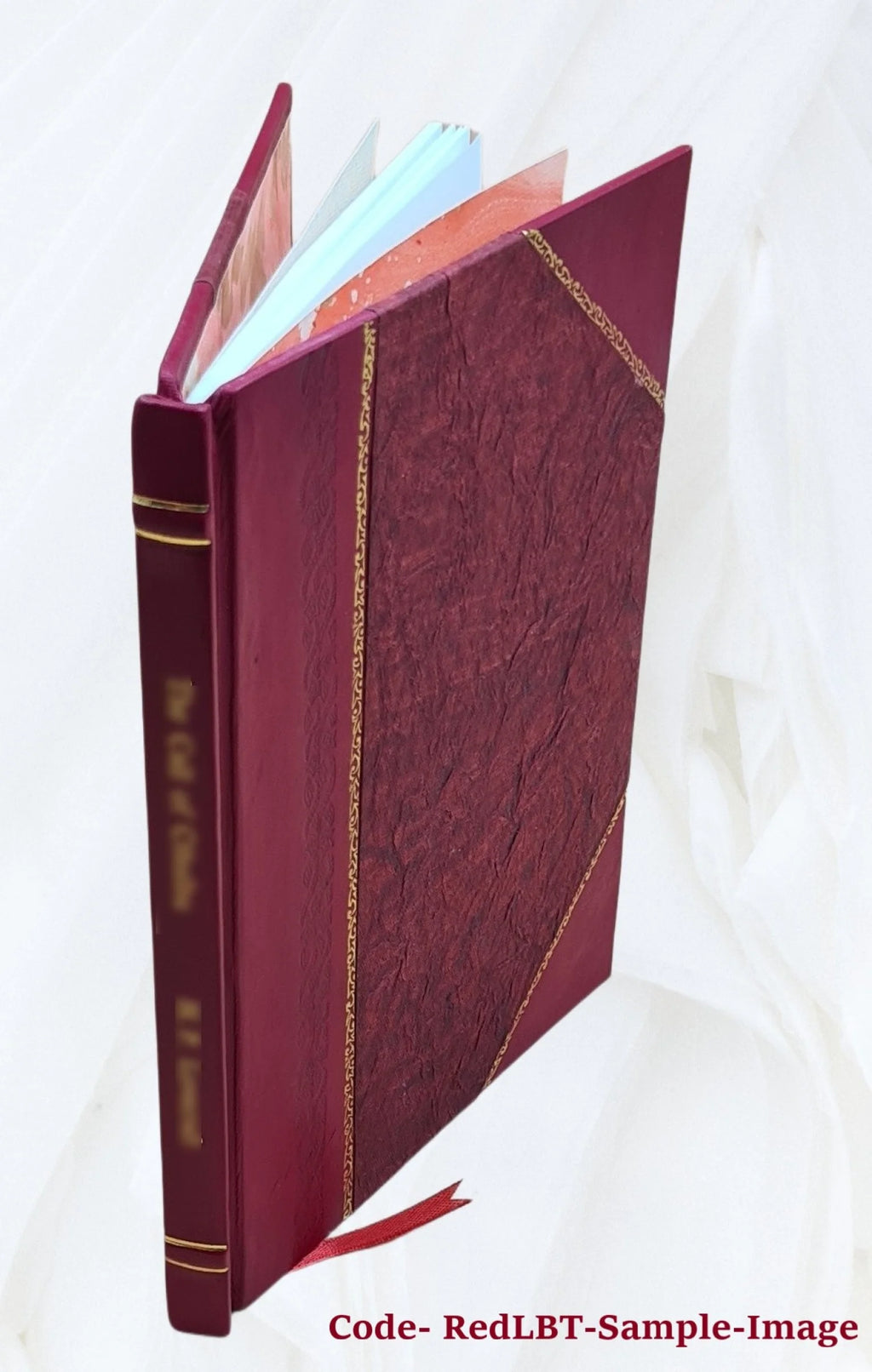 Sir Walter Scott and the border minstrelsy 1910 Leather Bound Q267