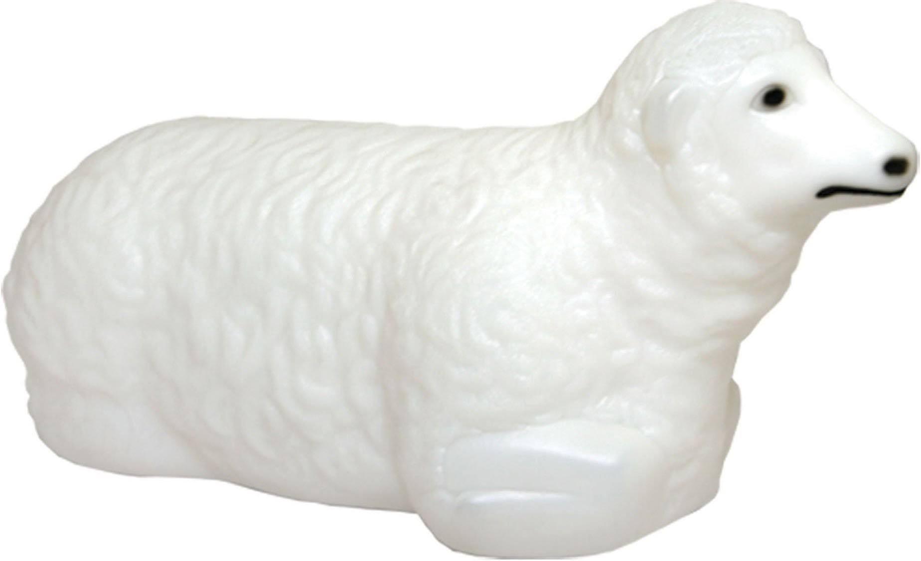 Nativity Scene Sheep E5677